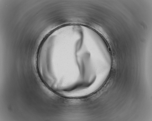 X0000114211136200911061440