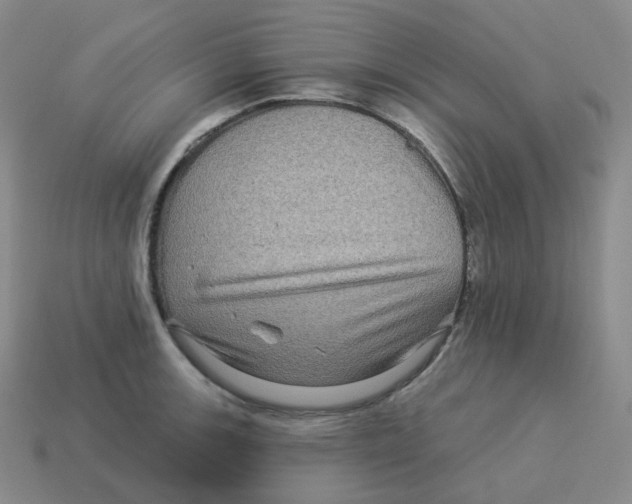 X0000114211139200911061440