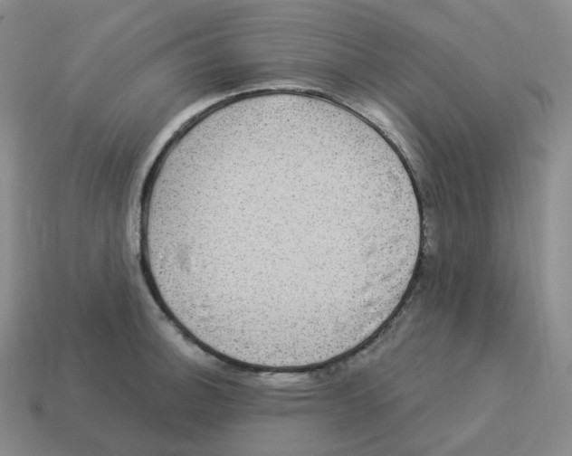 X0000114211140200911061440