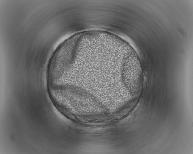 X0000114211143200911061440