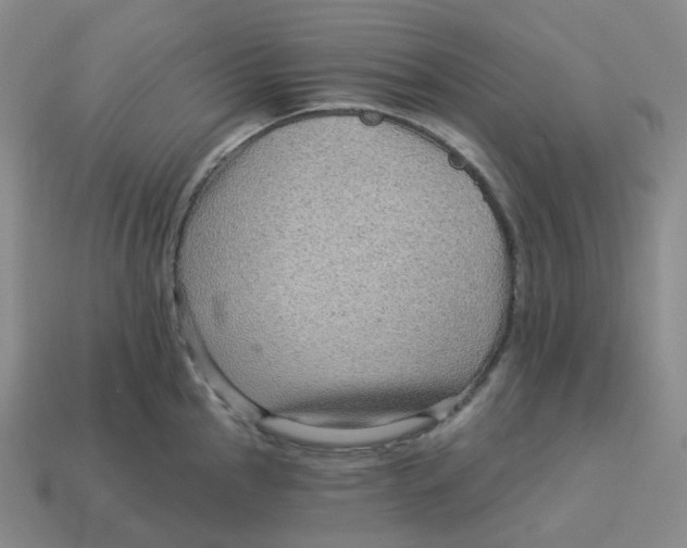 X0000114211145200911061440