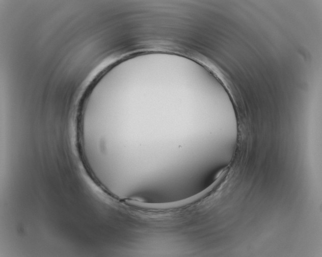 X0000114211147200911061440