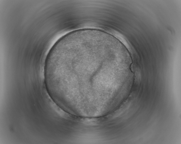 X0000114211148200911061440