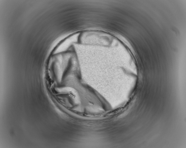 X0000114211149200911061440