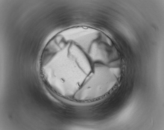 X0000114211151200911061440