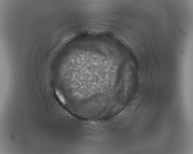 X0000114211153200911061439