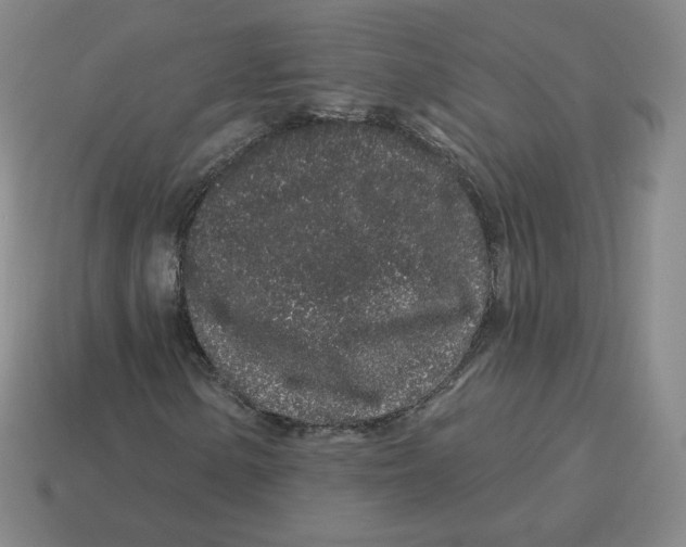 X0000114211154200911061439