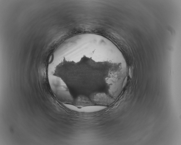 X0000114211155200911061439