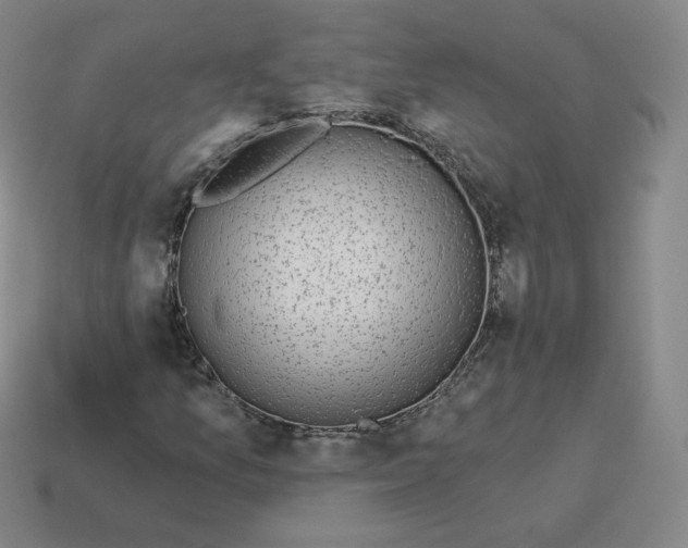 X0000114211157200911061439