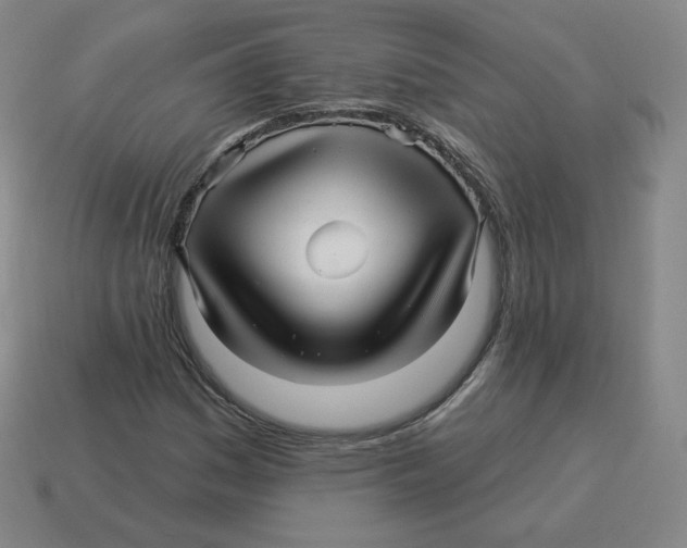 X0000114211161200911061439