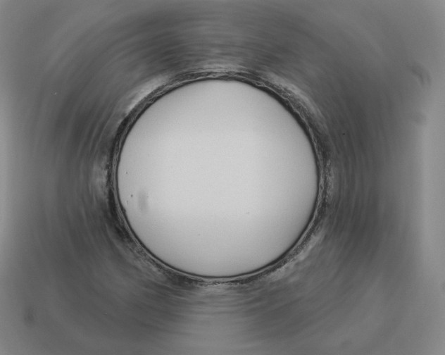 X0000114211162200911061439