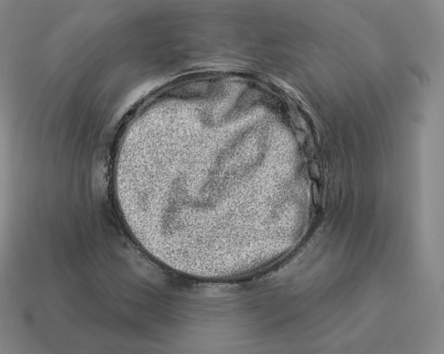 X0000114211163200911061439