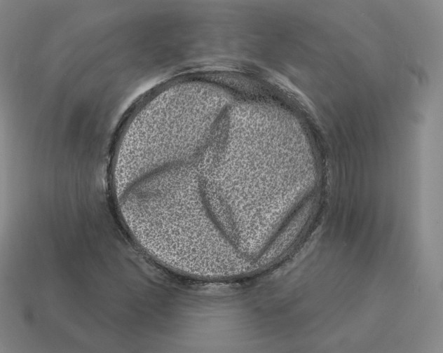 X0000114211166200911061439