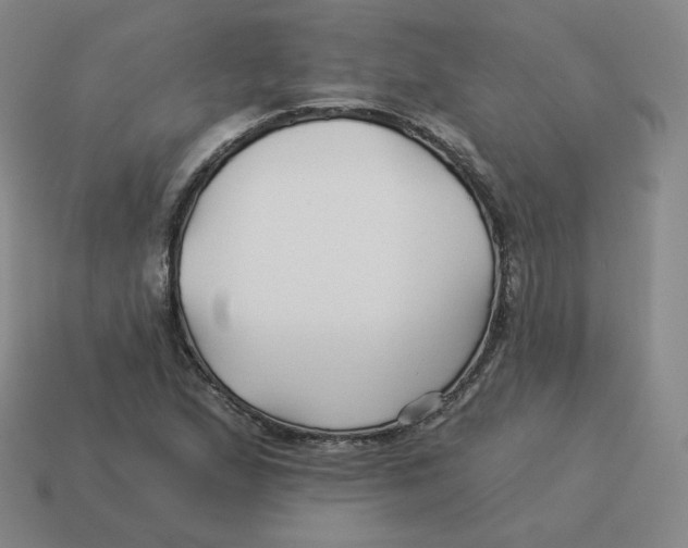 X0000114211167200911061439