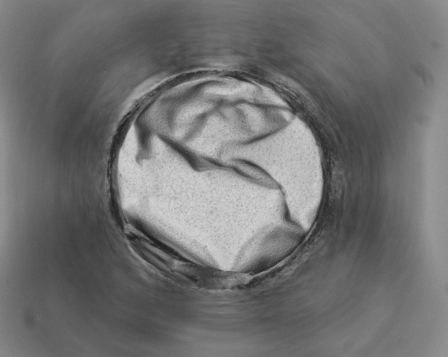 X0000114211168200911061439