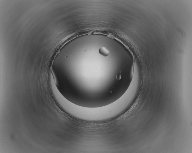 X0000114211169200911061439