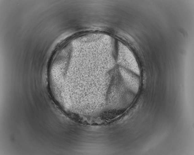 X0000114211172200911061439