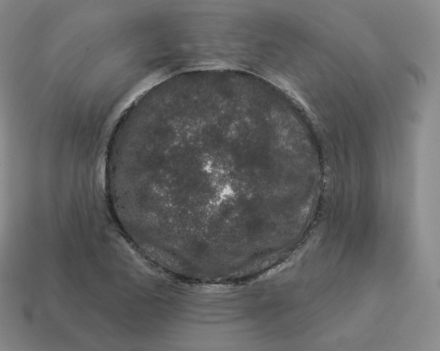 X0000114211173200911061439