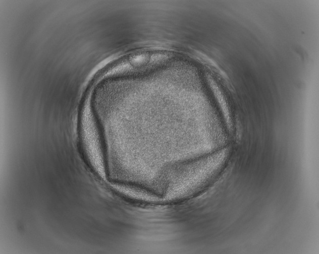 X0000114211174200911061439