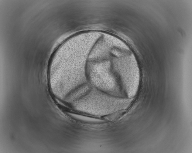 X0000114211176200911061439