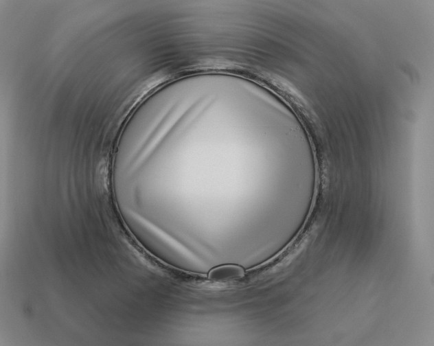 X0000114211177200911061439