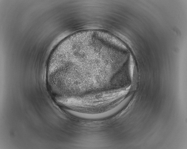 X0000114211179200911061439