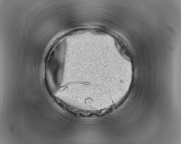 X0000114211180200911061439