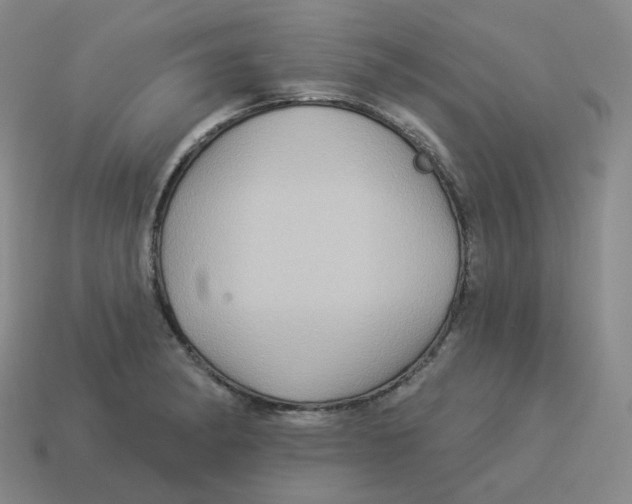 X0000114211182200911061439