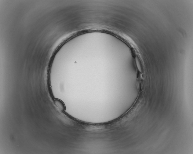 X0000114211183200911061439