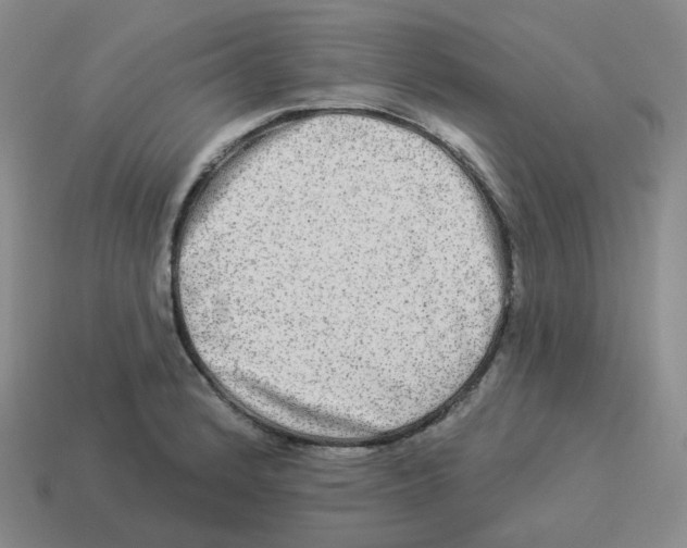 X0000114211184200911061439