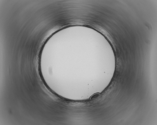 X0000114211187200911061439