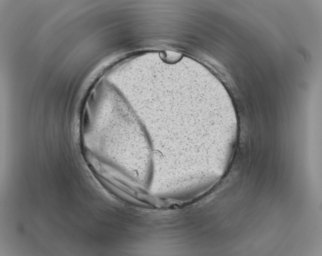 X0000114211188200911061439