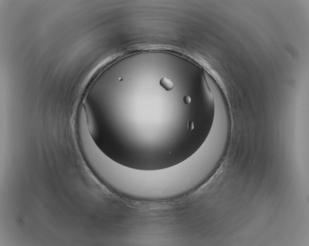 X0000114211189200911061439