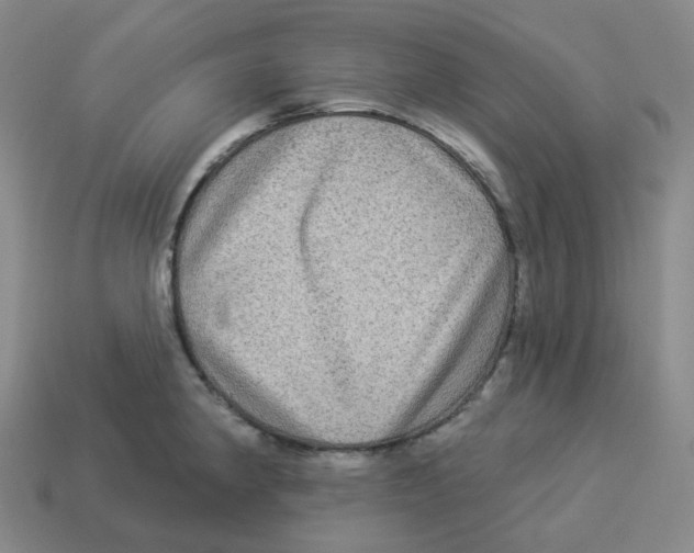 X0000114211190200911061439