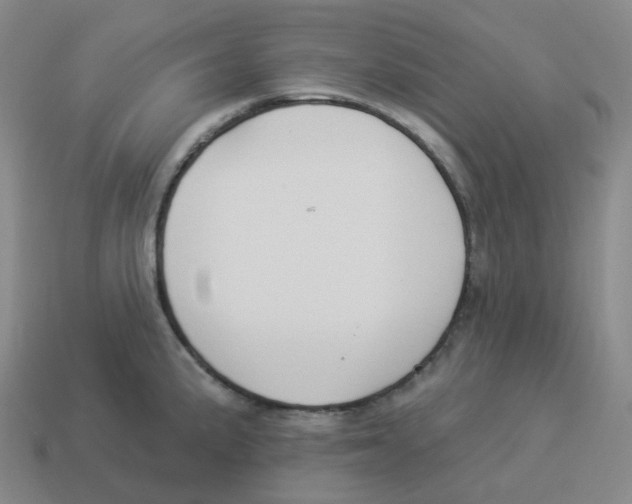 X0000114211191200911061439