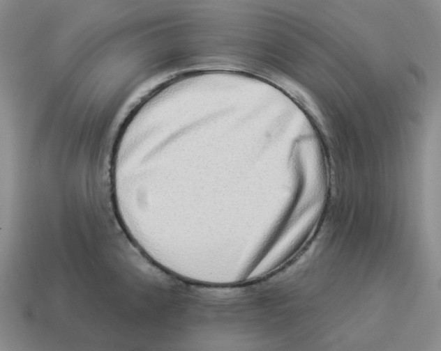 X0000114211192200911061439