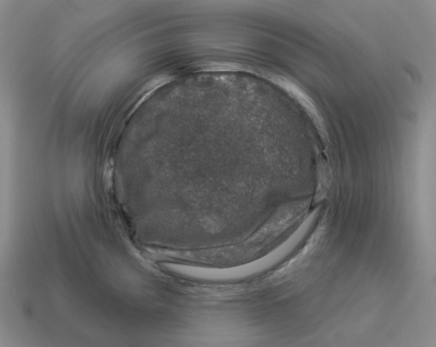 X0000114211193200911061439