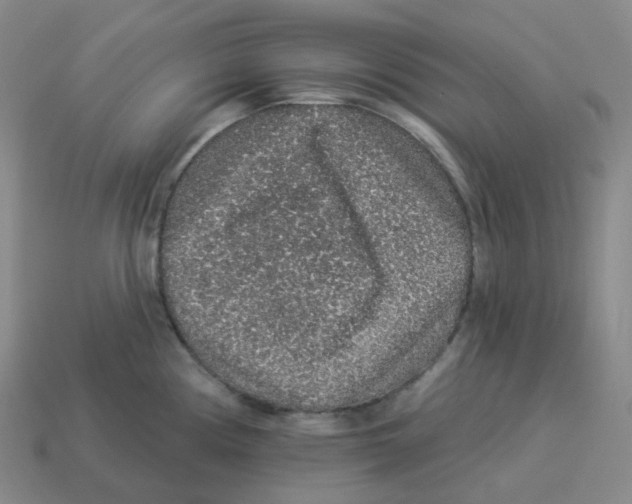 X0000114211194200911061439