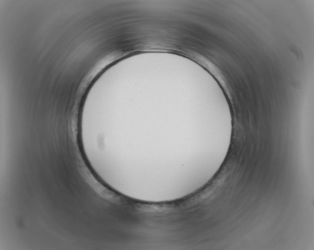 X0000114211195200911061439