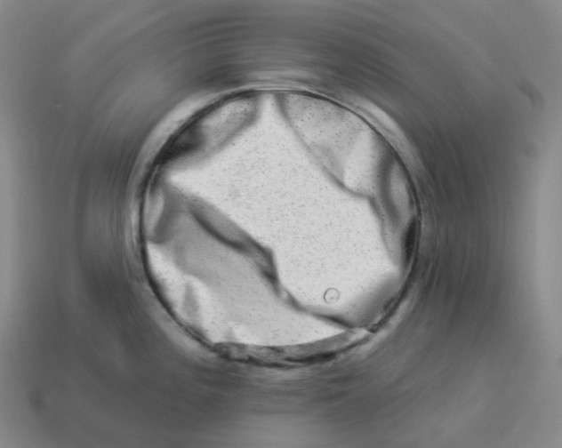 X0000114211196200911061439