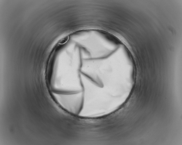 X0000114211197200911061439