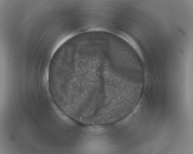 X0000114211198200911061439