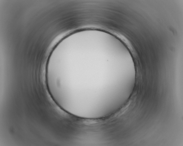 X0000114211199200911061439