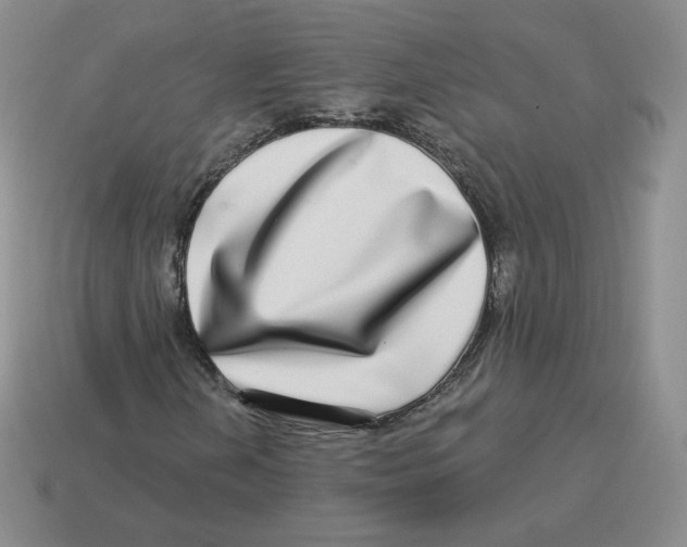 X0000114211202200911061438