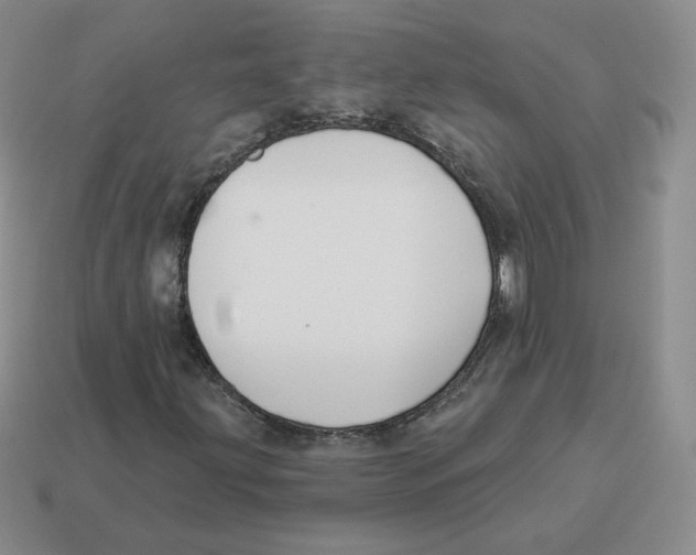 X0000114211203200911061438