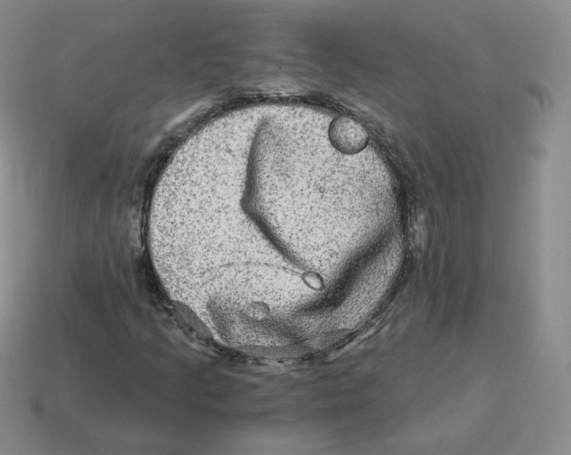 X0000114211205200911061438