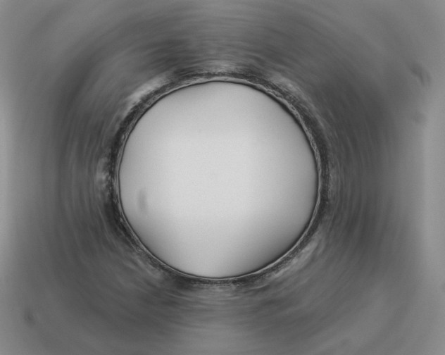 X0000114211210200911061438