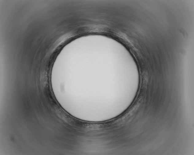 X0000114211211200911061438