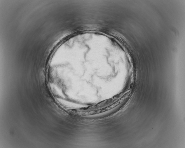 X0000114211212200911061438