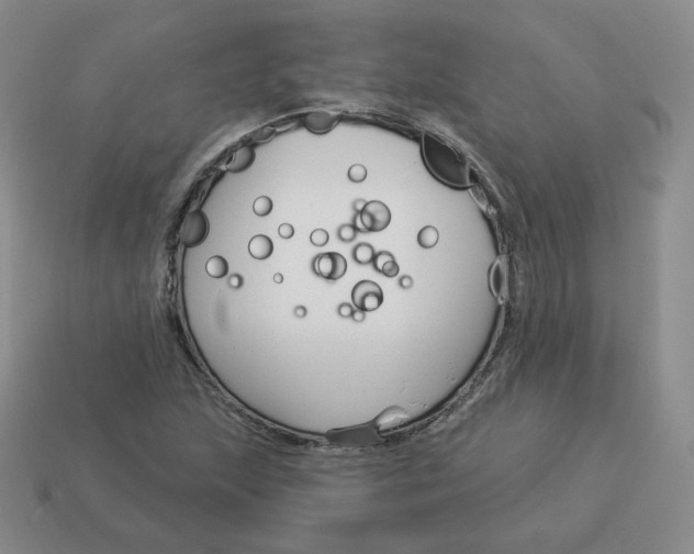 X0000114211215200911061438